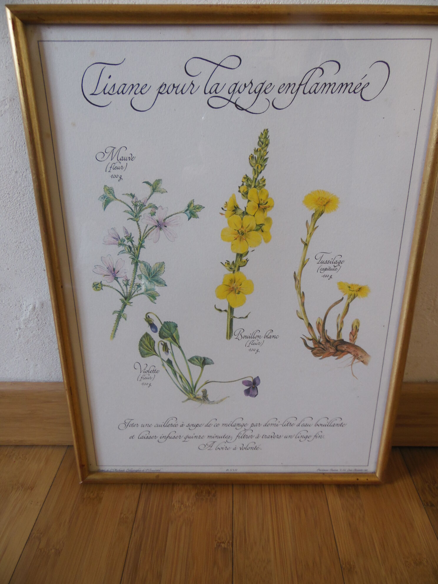 Botanical board Tisane inflamed throat , 1982 C Michaut