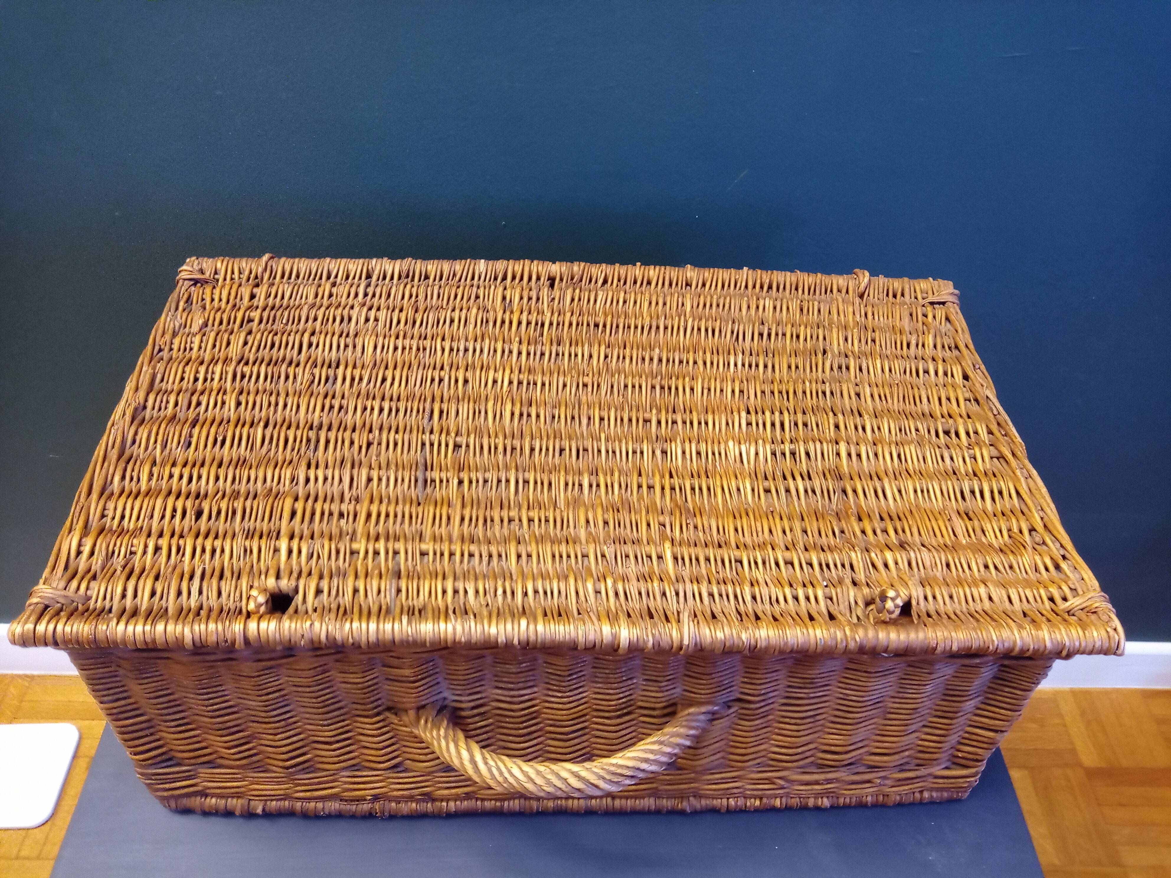 Wicker trunk