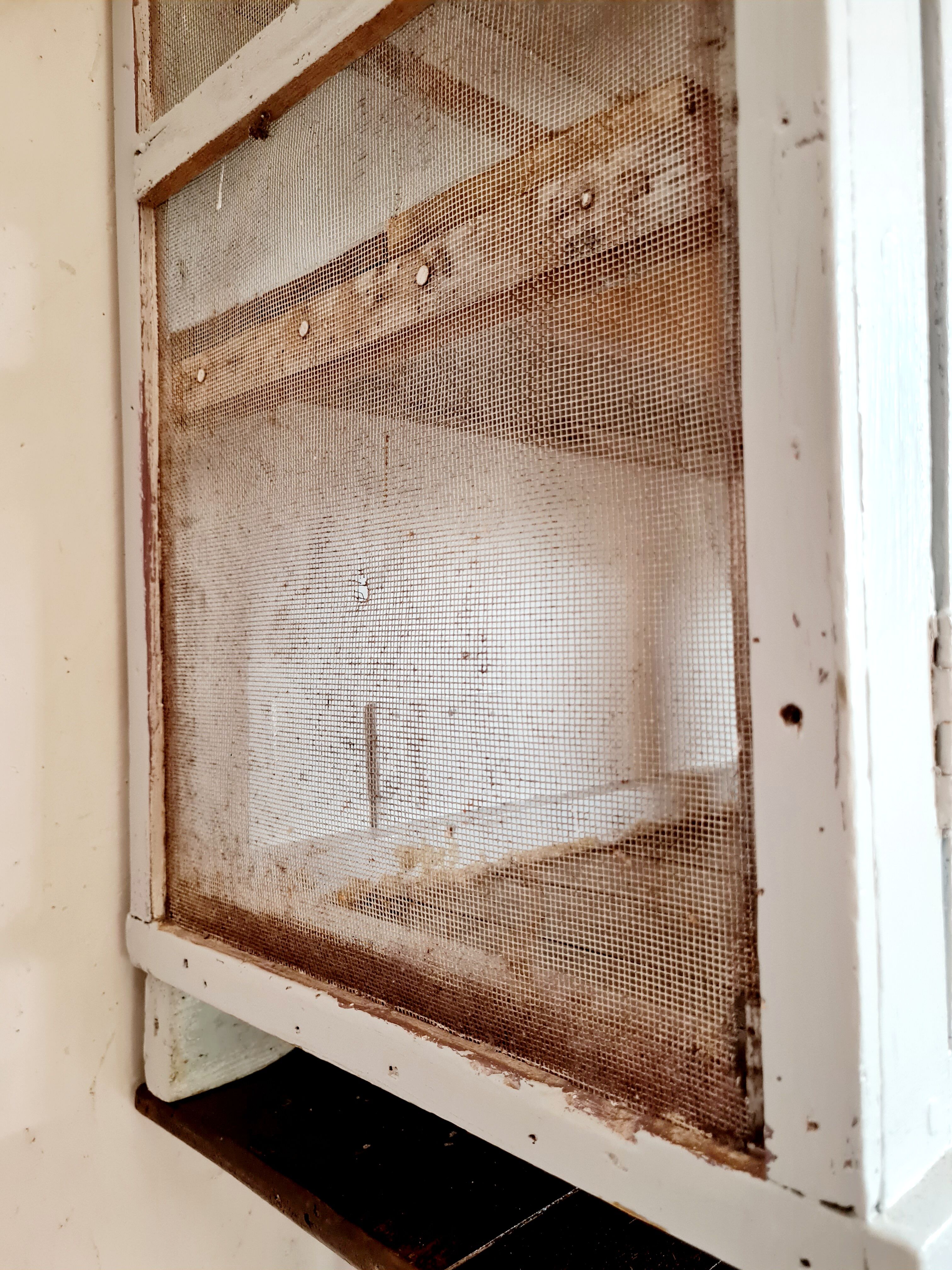 Wood pantry and old fence