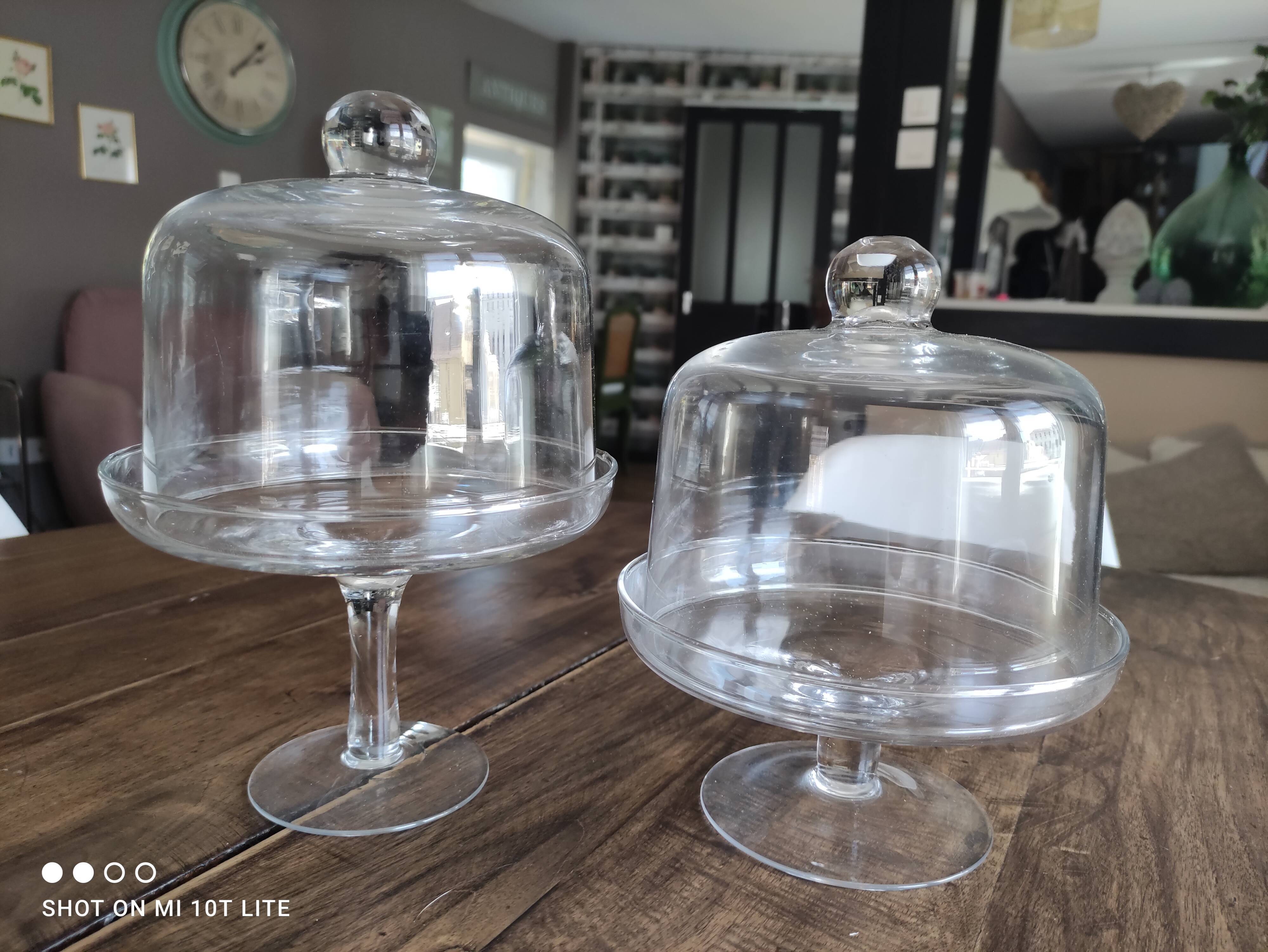 Glass bell on low stand