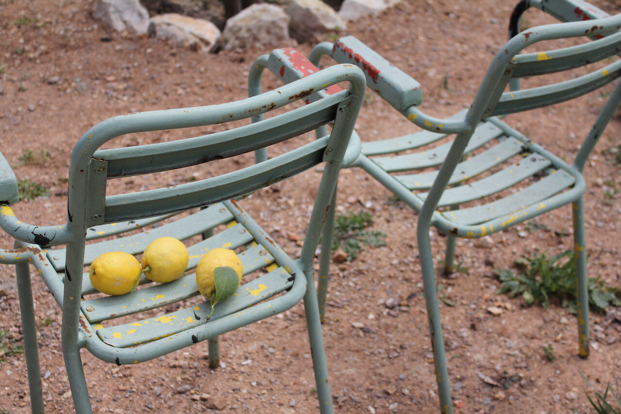 Paire de fauteuils de jardin vintage