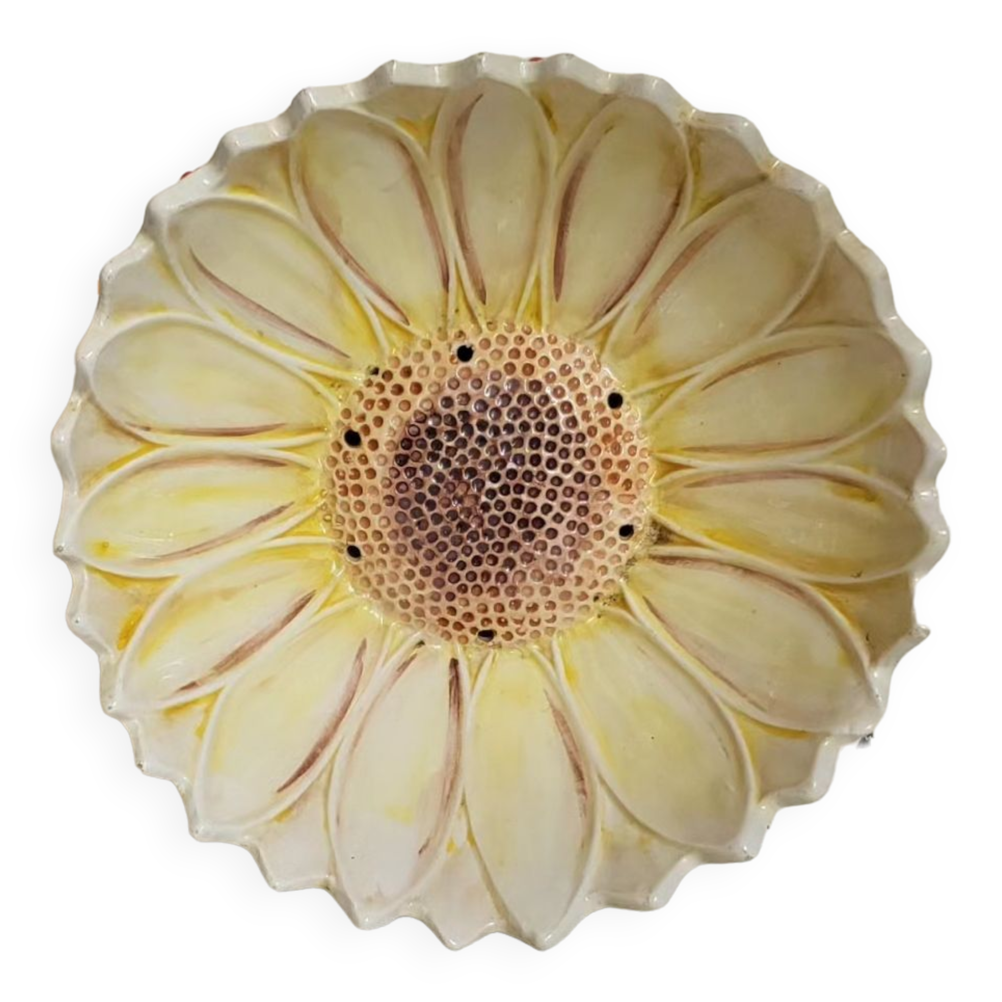 Salad bowl/slurry cup