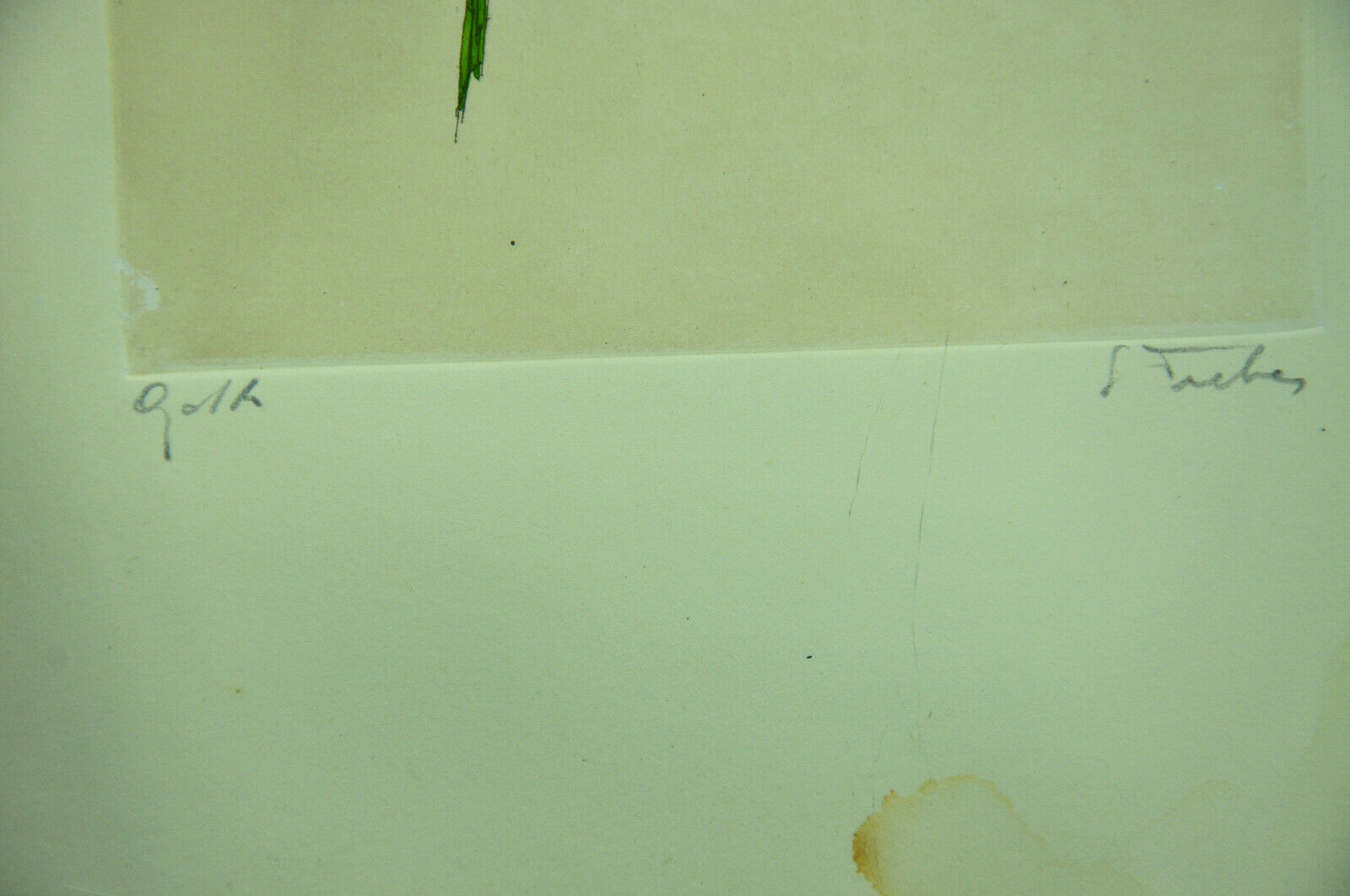 Pair of ancient lithographs of signed floral engravings to be identified