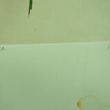 Pair of ancient lithographs of signed floral engravings to be identified