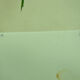 Pair of ancient lithographs of signed floral engravings to be identified
