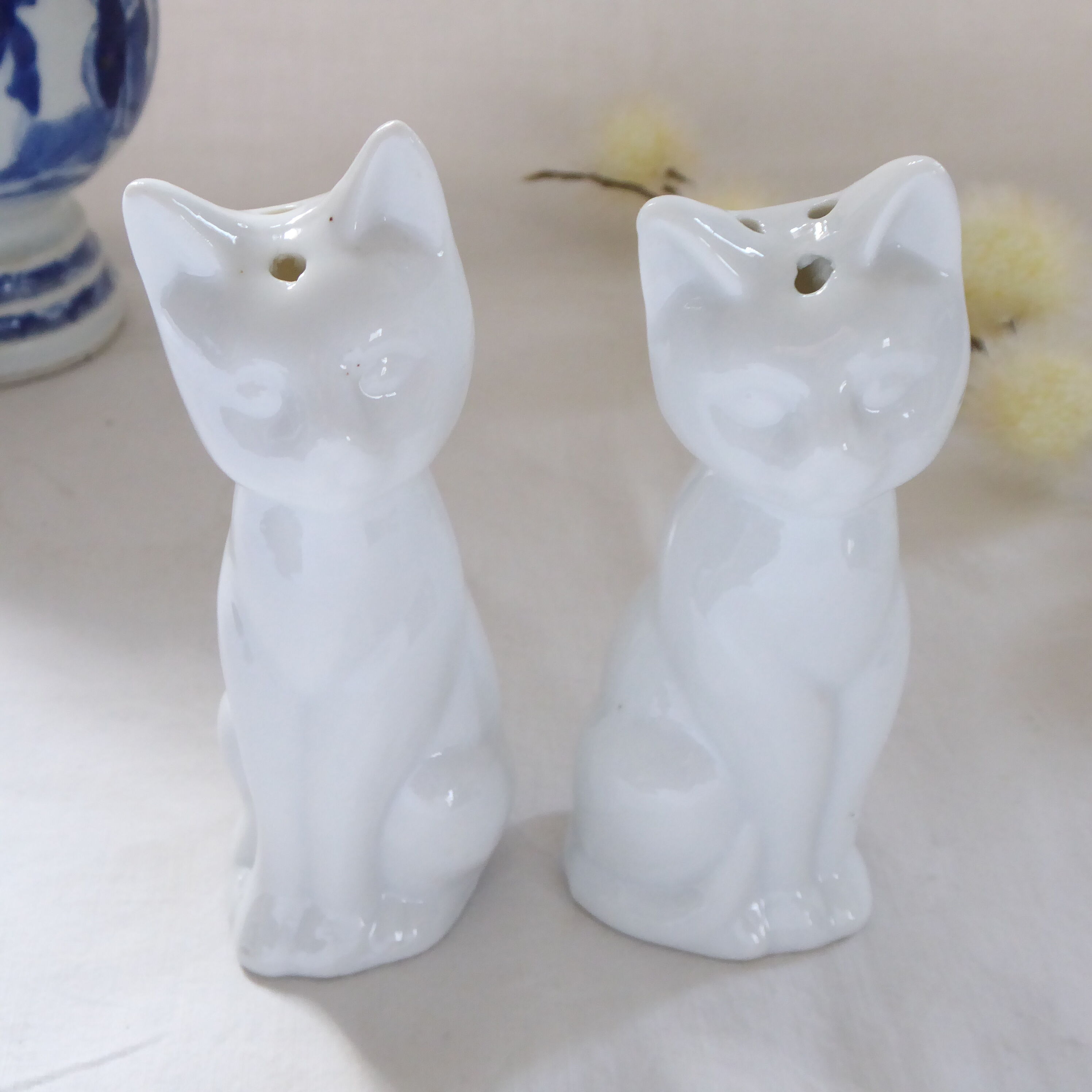 Salt and pepper shaker