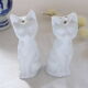 Salt and pepper shaker
