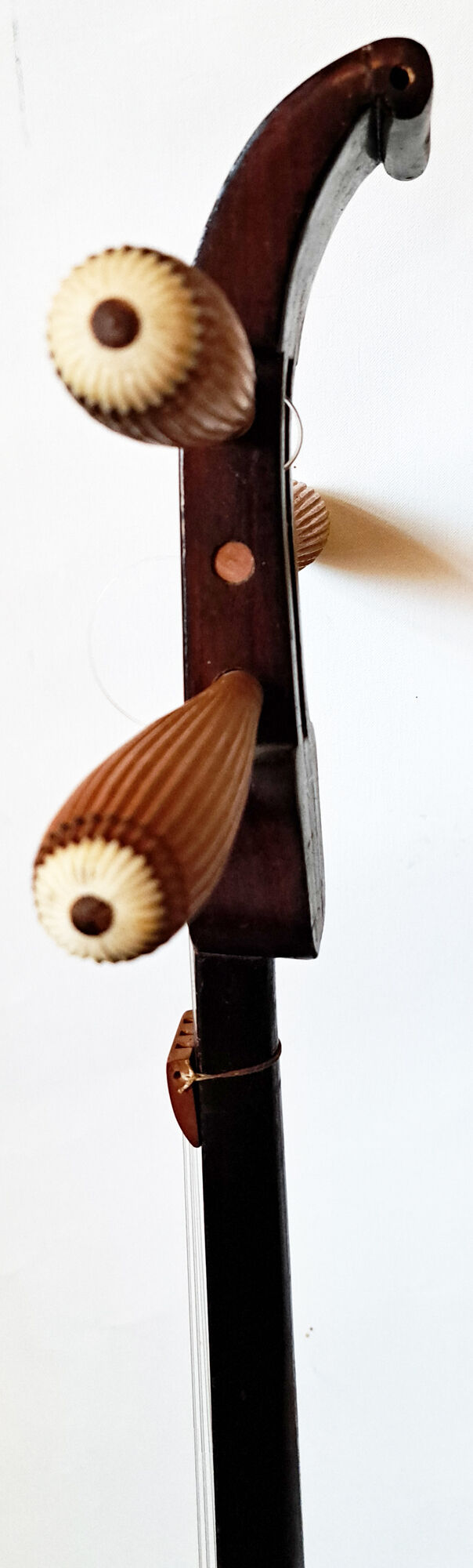 Okinawa shamisen sanshi traditional japanese instrument
