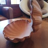 Raw cut scallop shell