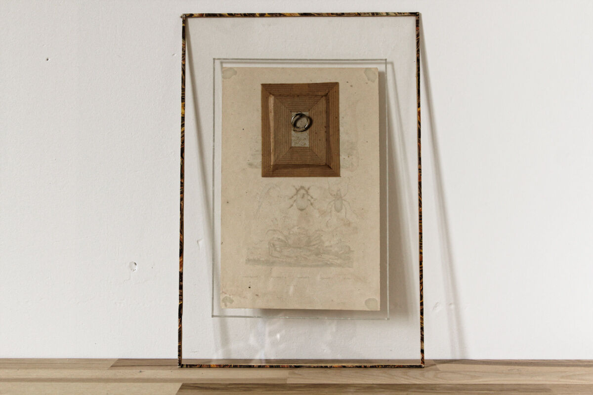 Colorized animal board, framed