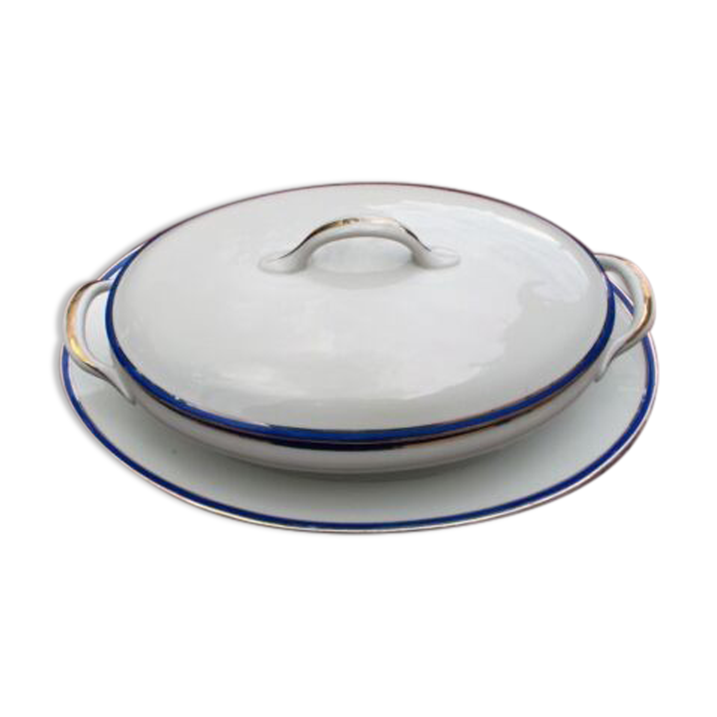 Vegetable and its dish Limoges porcelain blue and gold fillet