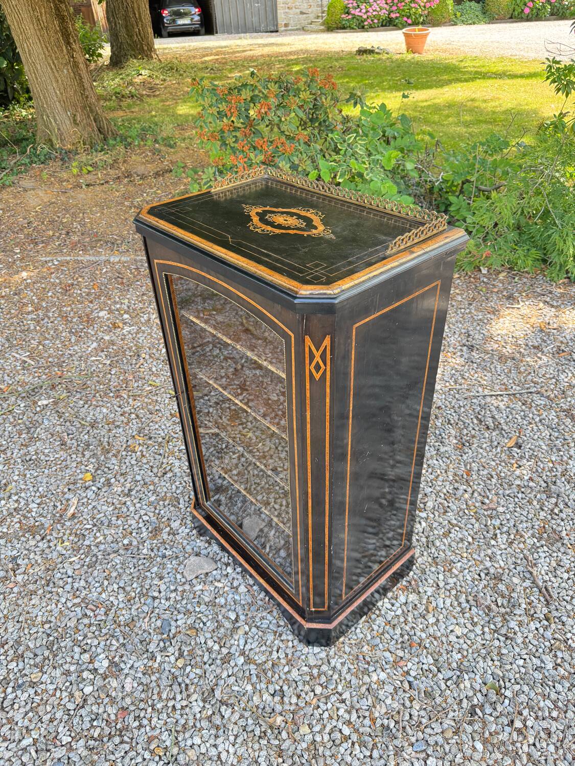 Blackened wooden display case from the Napoleon III period, 19th century