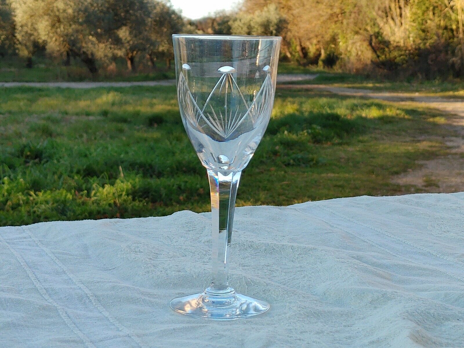 7 Cut Crystal Wine Glasses Faceted leg Baccarat, Saint Louis ??