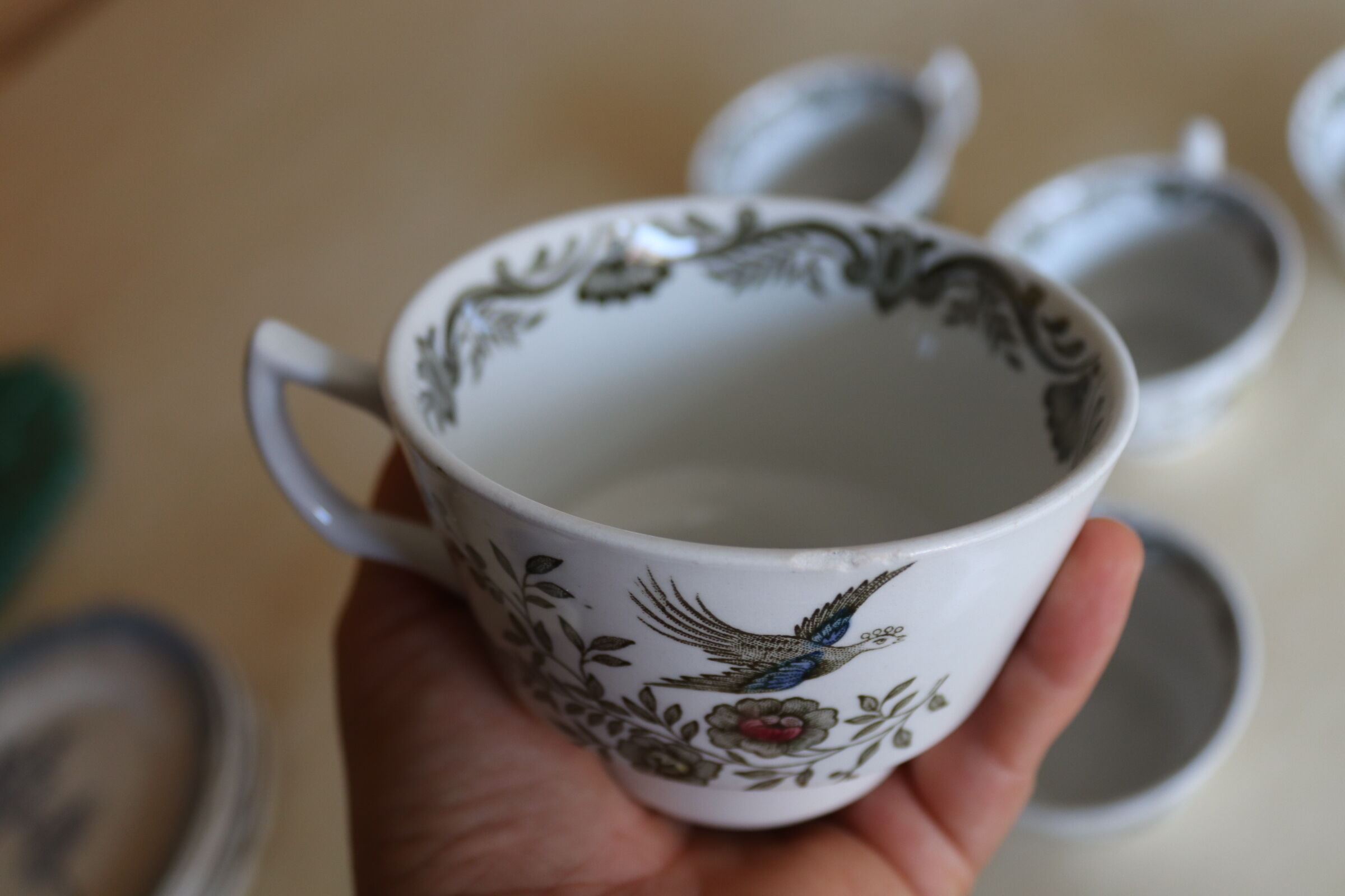 7 coffee cups Ridgway Stafordshire "Windsor"
