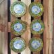 Set of 6 Gien Évasion flat plates with vintage floral foliage design.