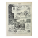 Old engraving 1898, Algeria, fauna and flora, Arabic • Lithograph, Original plate