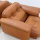 De Sede « DS 101 » fauteuils en cuir années 1970