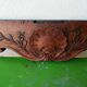 Massive walnut fronton from the 19th century