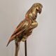 Decorative sculpture in solid brass representing a parrot, 1970s, Palm Beach/Hollywood Regency.