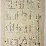 Gravure ancienne 1922, Greffe d'arbres, arboriculture, jardinage • Lithographie, illustration origin