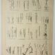 Old engraving 1922, Tree grafting, arboriculture, gardening • Lithograph, original illustration