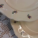 12 old Digoin and Sarreguemines soup plates