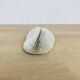 Natural White Fungia Coral