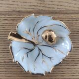 Empty leaf and snail pocket
