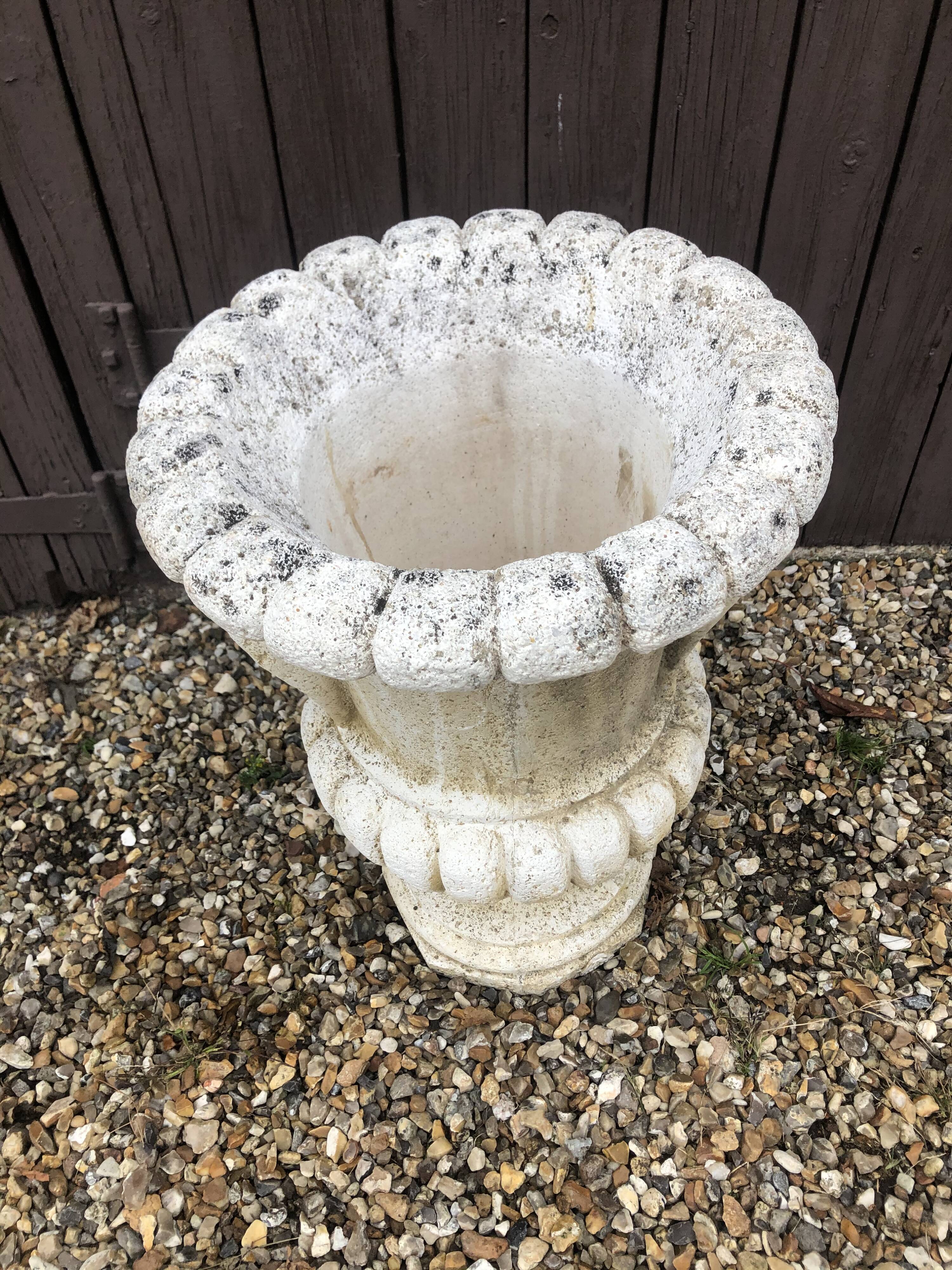 Medici Basin