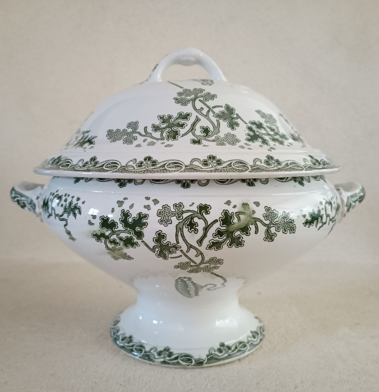 Tureen and ravier Saint Amand and Hamage