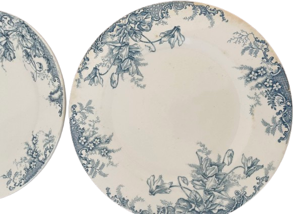 4 Clairefontaine ironstone flat plates, Cyclamens model