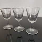 Verres apéritifs, digestifs tulipe gravé anciens
