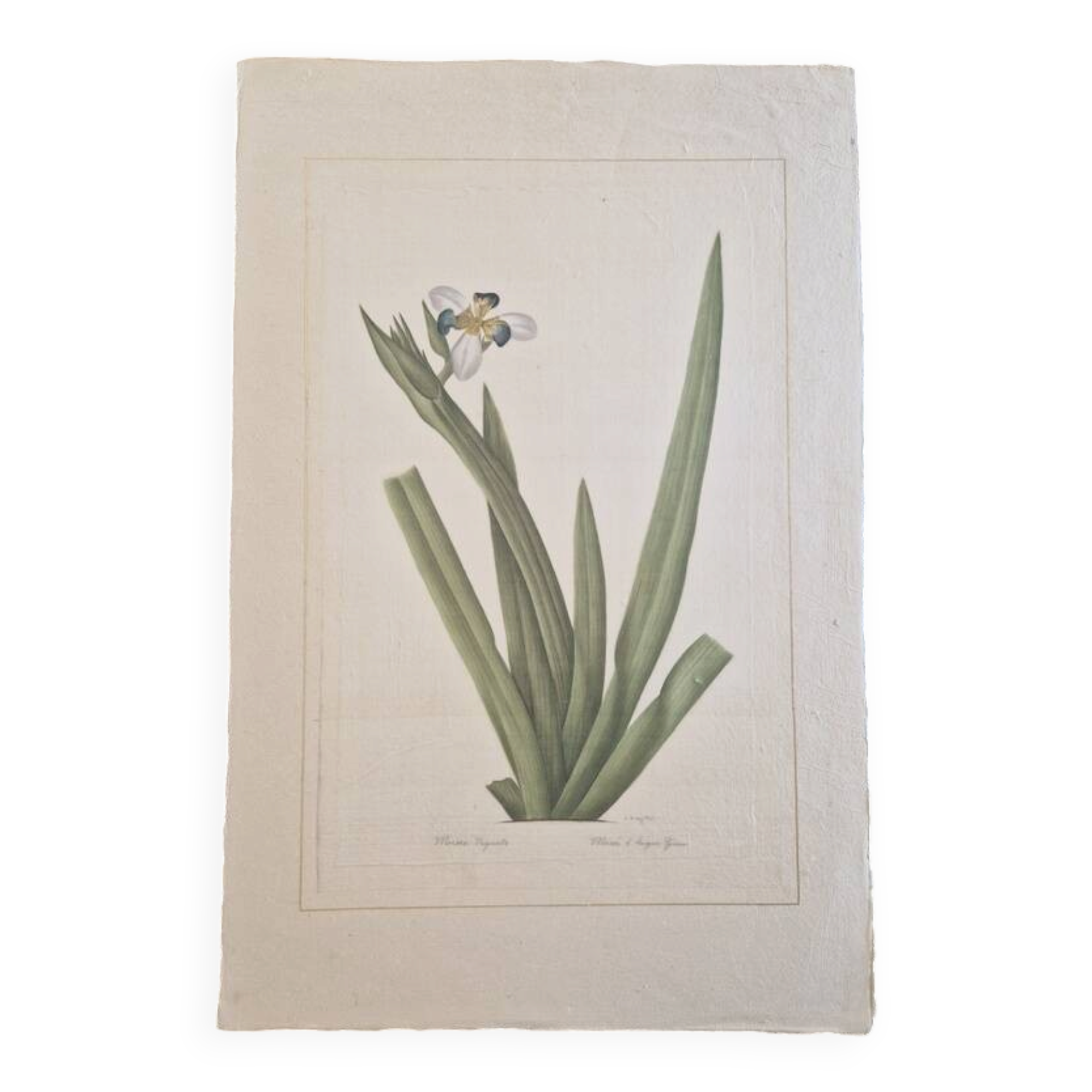 La Roche Laffitte (Born in 1943) - Watercolour drawing on silk - Morée