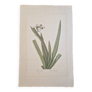 Dessin à l'aquarelle - soie