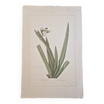 La Roche Laffitte (Born in 1943) - Watercolour drawing on silk - Morée