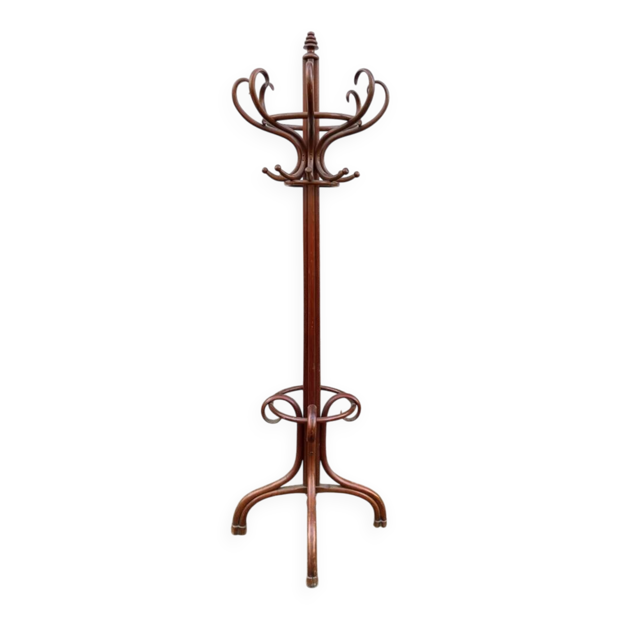 Portemanteau perroquet n°1 Thonet