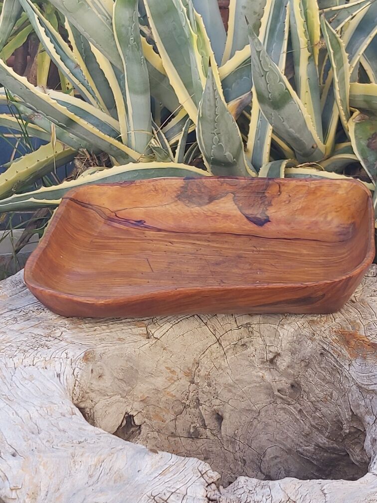 Empty cut pocket in vintage olive tree
