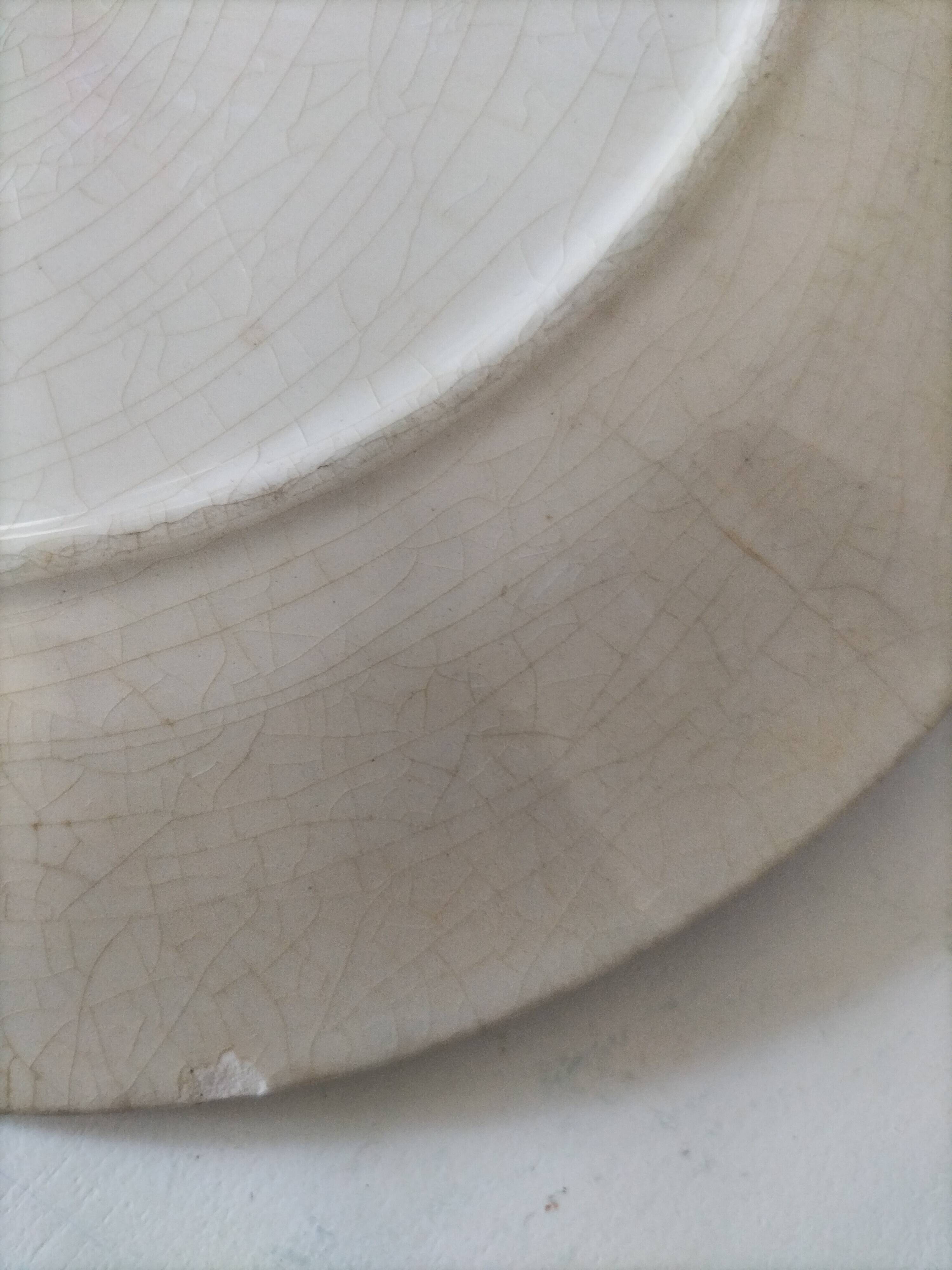 Two flat plates in earthenware with blue floral decoration.