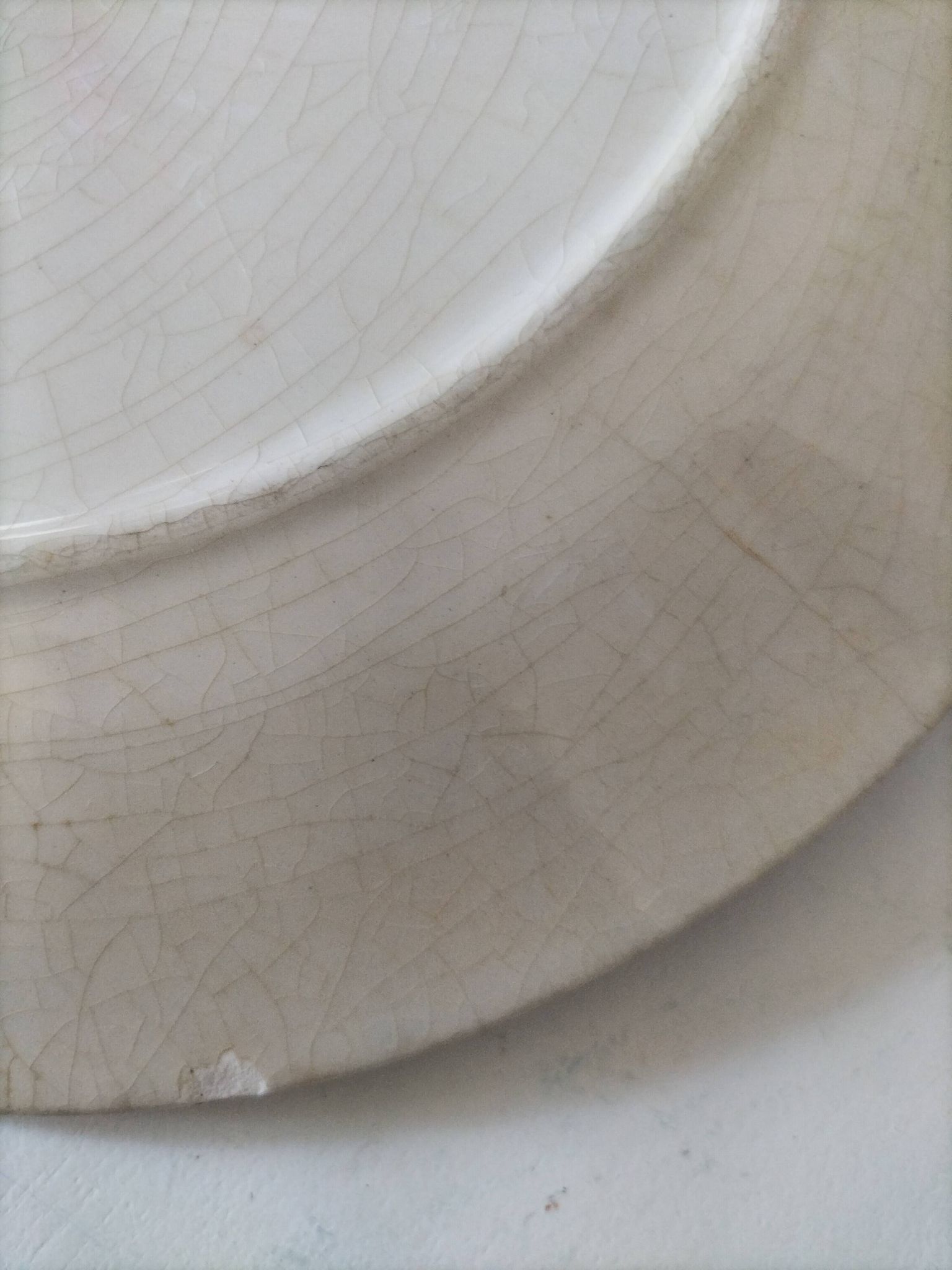 Two flat plates in earthenware with blue floral decoration.