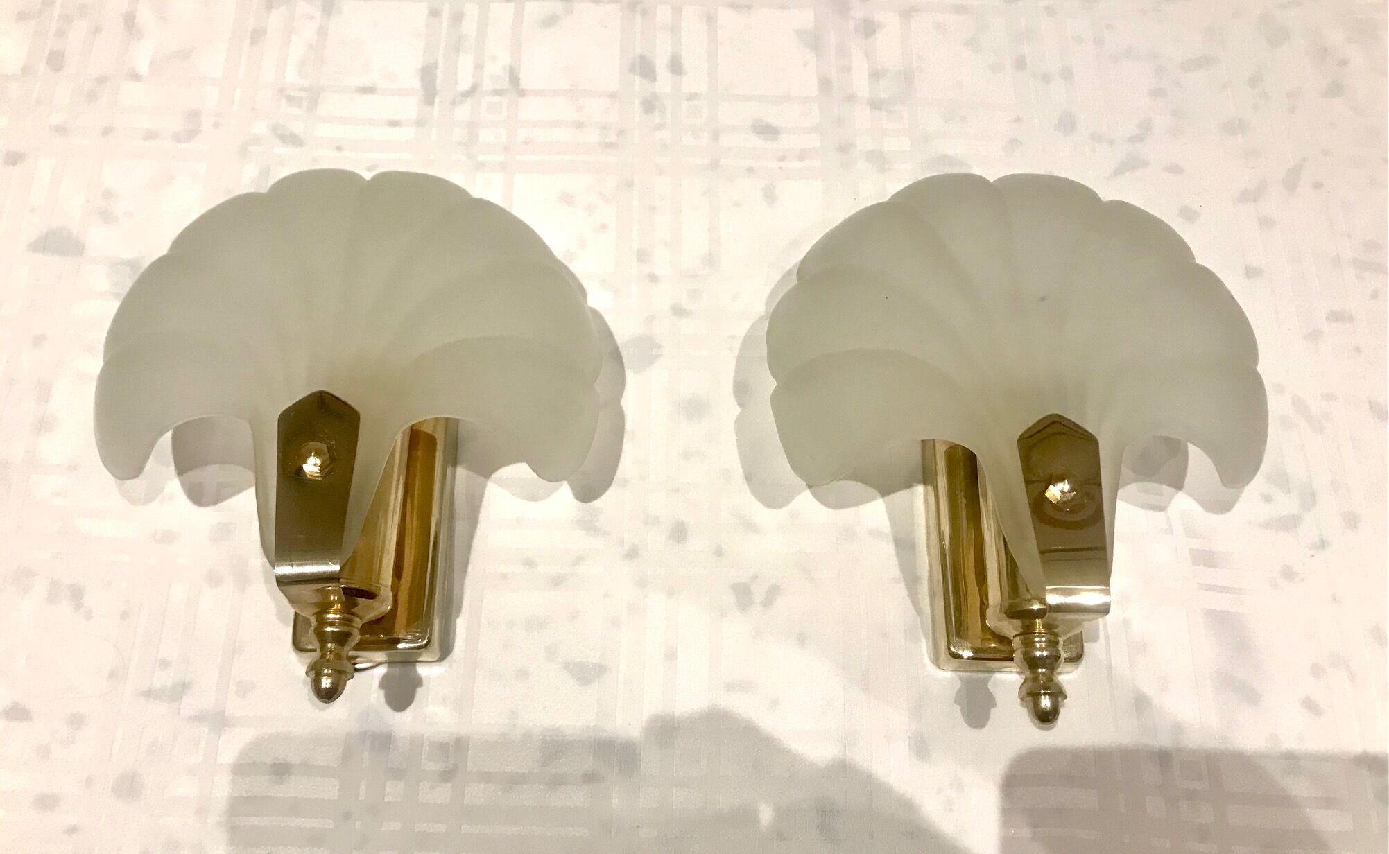 Pair of shell sconces