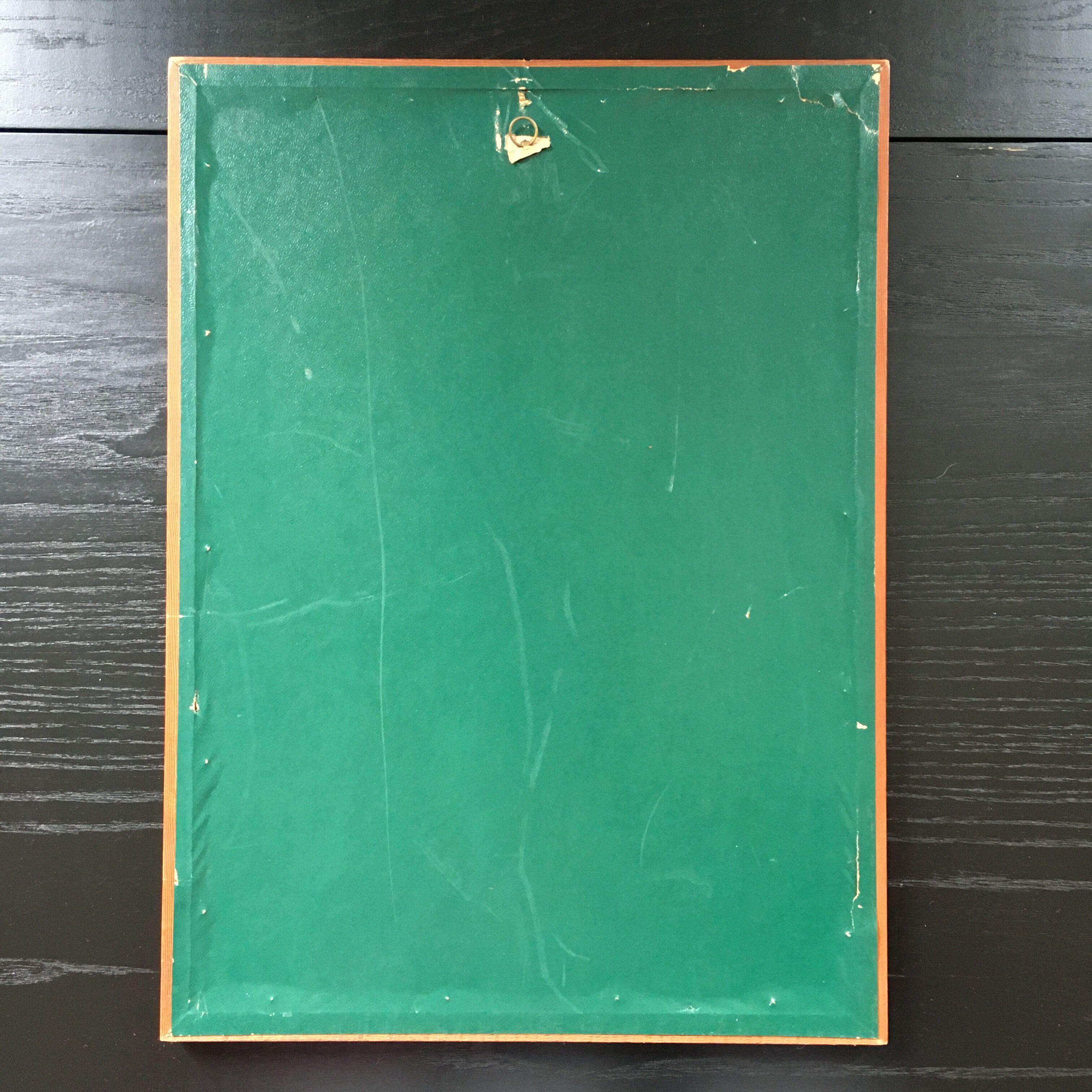 Illustration of hummingbirds.