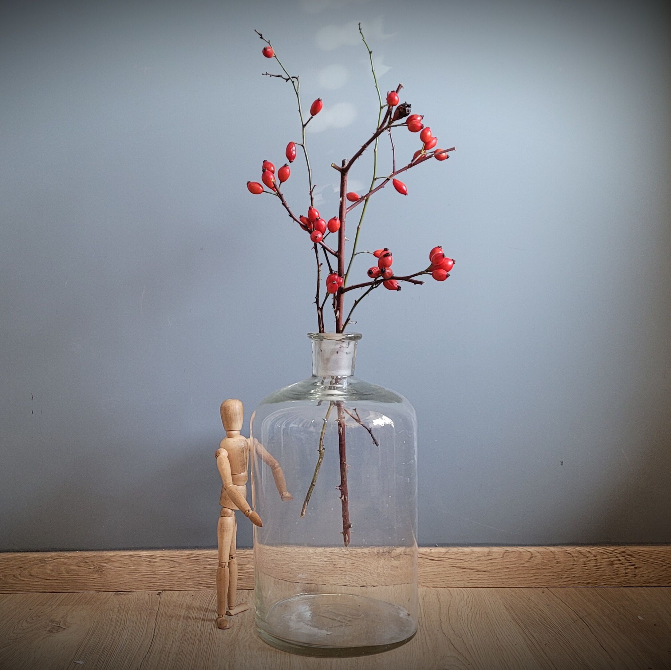 Transparent 10L apothecary bottle