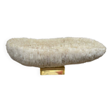 Coral “shark cushion”