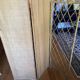 rattan screen