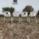 Chaises de jardin 70's