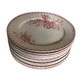 Set of 12 dinner plates of Sarreguemines land of iron décor Vega early 20th