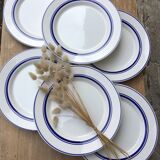 Flat plates with blue trims Quadrifoglio