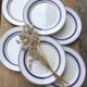 Assiettes plates liserés bleus Quadrifoglio