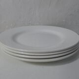 Digoin 4 old flat plates