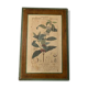 Botanica wooden plank frame
